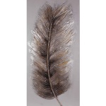 Canvastaulu Hopeinen Sulka