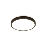 Anillo plafondi