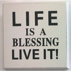Life is a blessing with