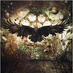 Raven - Lasinen Sisustustaulu